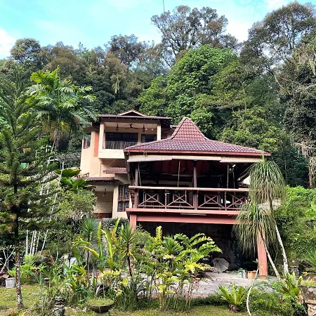 Purimai Jungle House In The Heart Of Kuala Lumpur Villa